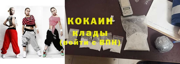 твердый Бронницы