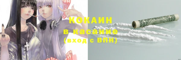 твердый Бронницы