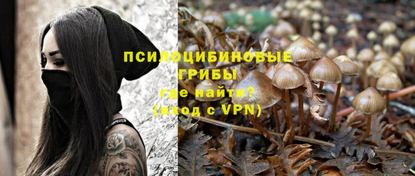 твердый Бугульма